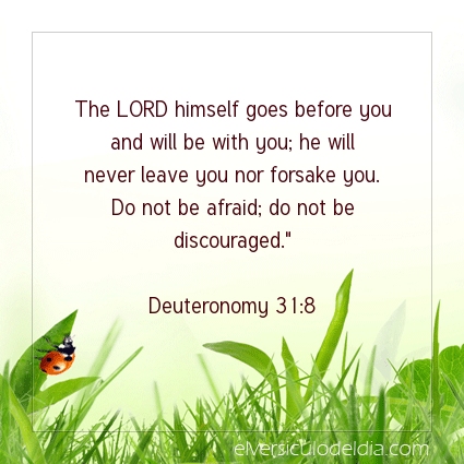 Image The verse of the day Deuteronomy 31:8