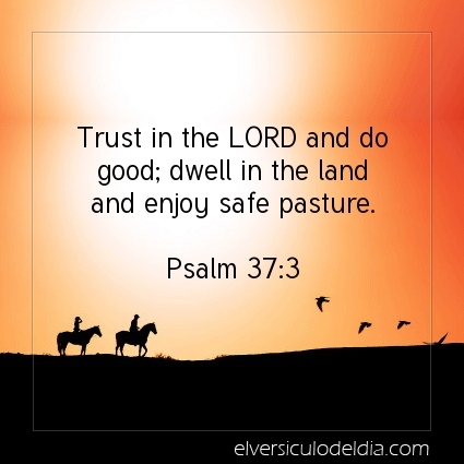 Image The verse of the day Psalm 37:3