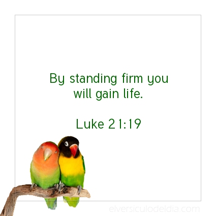 Image The verse of the day Luke 21:19