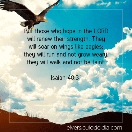 Image The verse of the day Isaiah 40:31