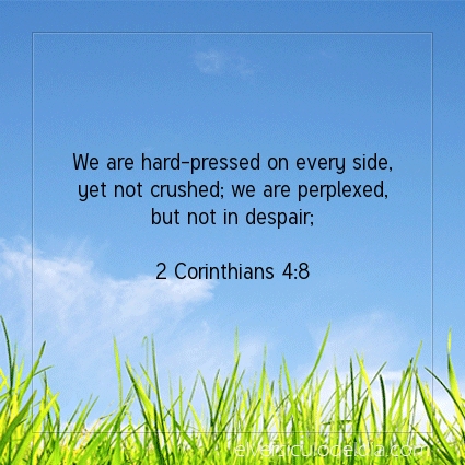 Image The verse of the day 2 Corinthians 4:8