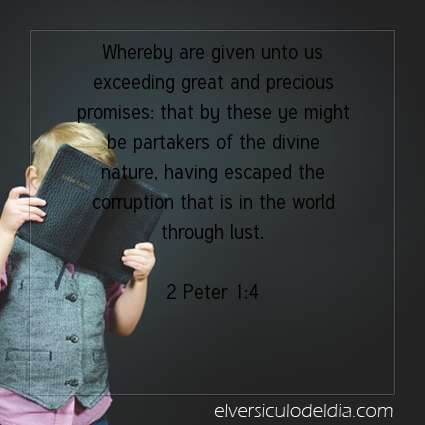Image The verse of the day 2 Peter 1:4