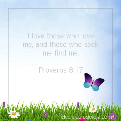 Image The verse of the day Proverbs 8:17