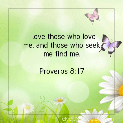 Image The verse of the day Proverbs 8:17