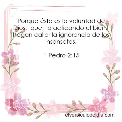 1-Pedro-2-15-NVI-el-versiculo-del-dia - Imagen El versiculo del dia