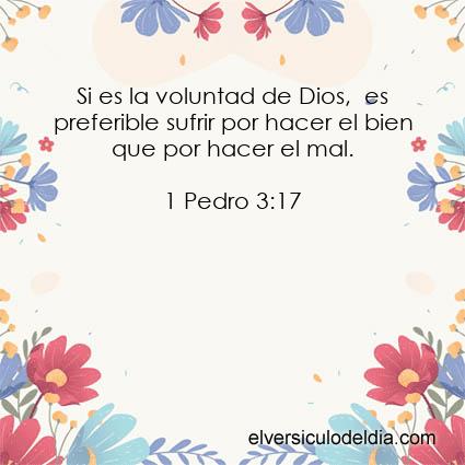 1-Pedro-3-17-NVI-el-versiculo-del-dia - Imagen El versiculo del dia