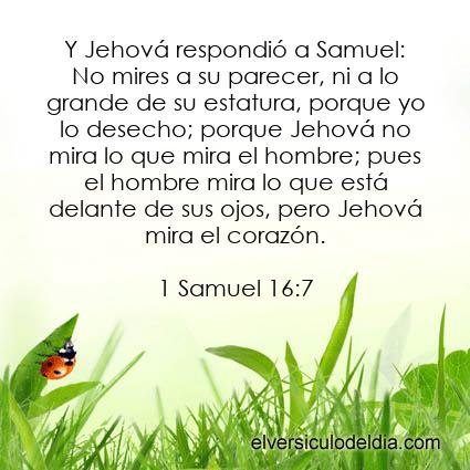 1 Samuel 16:7 RV60 - Imagen El versiculo del dia