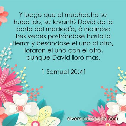 1 Samuel 20:41 RV09 - Imagen El versiculo del dia