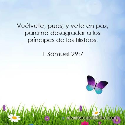 1 Samuel 29:7 RV60 - Imagen El versiculo del dia