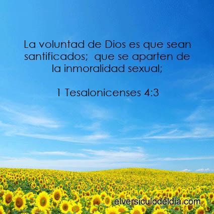 1-Tesalonicenses-4-3-NVI-el-versiculo-del-dia - Imagen El versiculo del dia