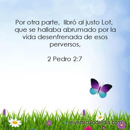 2-pedro-2-7-nvi-el-versiculo-del-dia.jpg