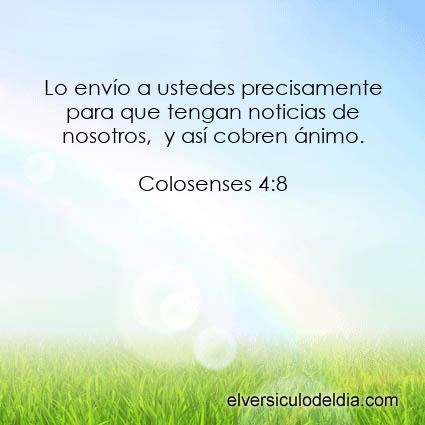 Colosenses 4:8 NVI - Imagen El versiculo del dia