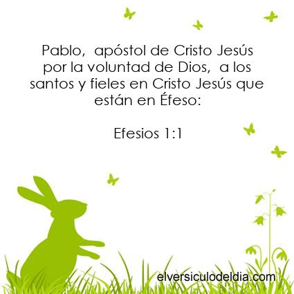 Efesios-1-1-NVI-el-versiculo-del-dia - Imagen El versiculo del dia