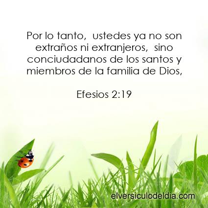 Efesios-2-19-NVI-el-versiculo-del-dia - Imagen El versiculo del dia