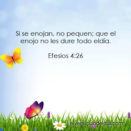 Efesios-4-26-DHH-el-versiculo-del-dia - Imagen El versiculo del dia