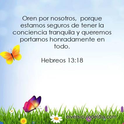 Hebreos 13:18 NVI - Imagen El versiculo del dia