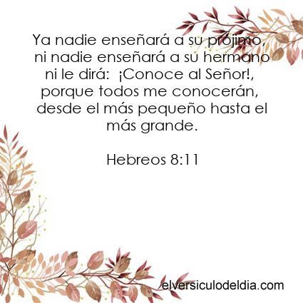 Hebreos 8:11 NVI - Imagen El versiculo del dia