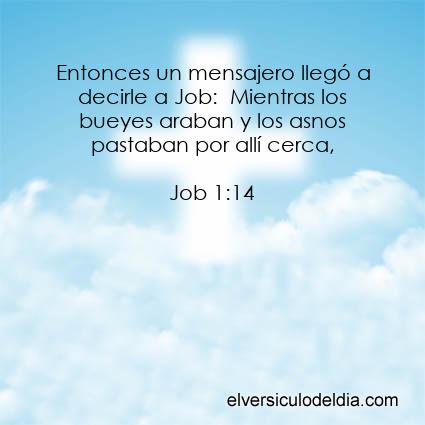 Job 1:14 NVI - Imagen El versiculo del dia