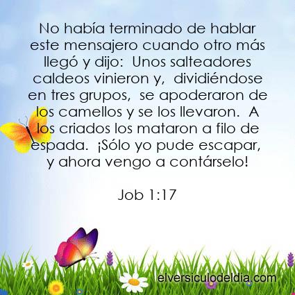 Job 1:17 NVI - Imagen El versiculo del dia