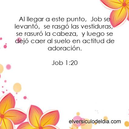 Job 1:20 NVI - Imagen El versiculo del dia