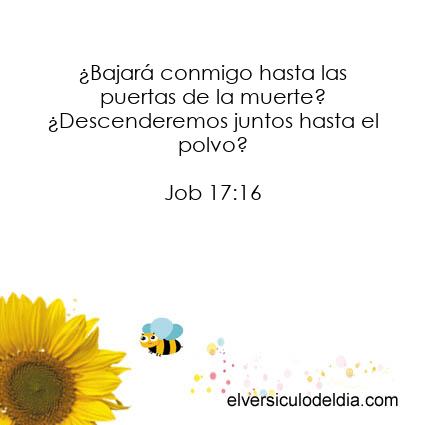 Job 17:16 NVI - Imagen El versiculo del dia