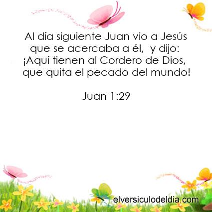 Juan 1:29 NVI - Imagen Versiculo del dia