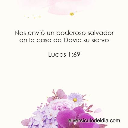 Lucas 1:69 NVI - Imagen El versiculo del dia