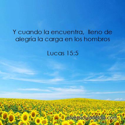 Lucas 15:5 NVI - Imagen El versiculo del dia