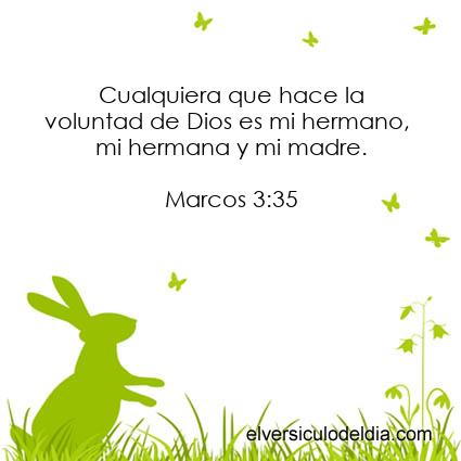 Marcos-3-35-NVI-el-versiculo-del-dia - Imagen El versiculo del dia