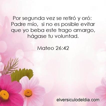 Mateo-26-42-NVI-el-versiculo-del-dia - Imagen El versiculo del dia