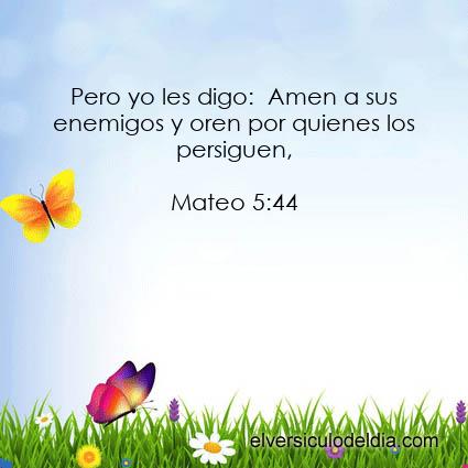mateo-5-44-nvi-el-versiculo-del-dia.jpg