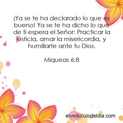 Miqueas 6:8 NVI - Imagen Verse of the day