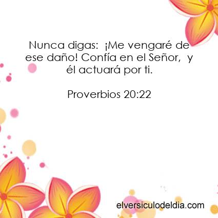proverbios-20-22-nvi-el-versiculo-del-di
