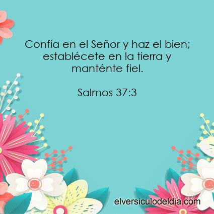 salmos-37-3-nvi-el-versiculo-del-dia.jpg