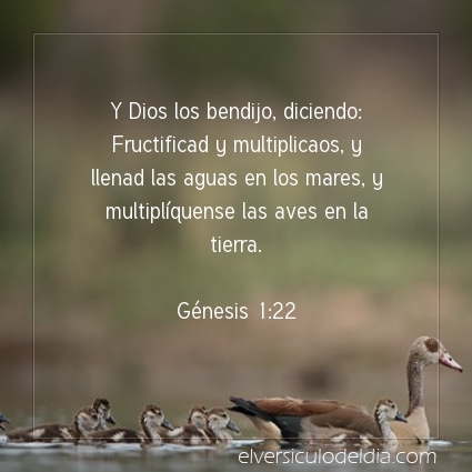 Imagen El versiculo del dia Génesis 1:22