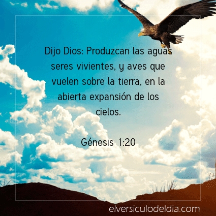 Imagen El versiculo del dia Génesis 1:20