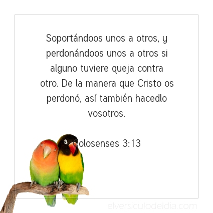 Imagen El versiculo del dia Colosenses 3:13
