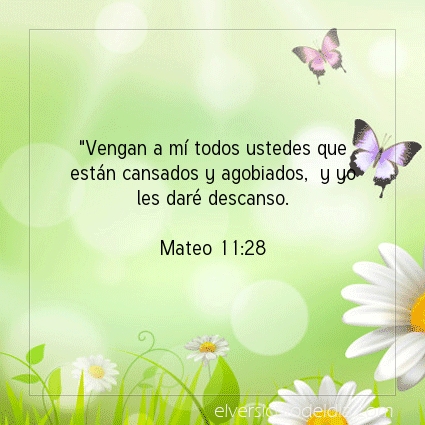 Imagen El versiculo del dia Mateo 11:28