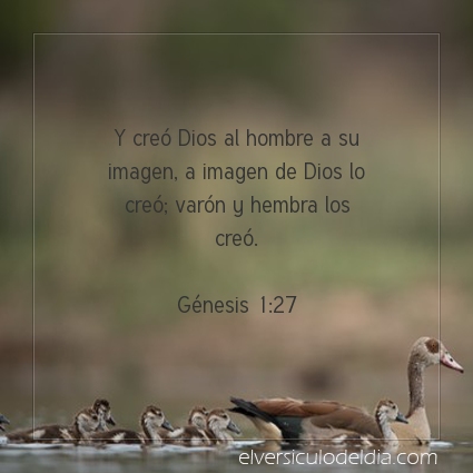 Imagen El versiculo del dia Génesis 1:27
