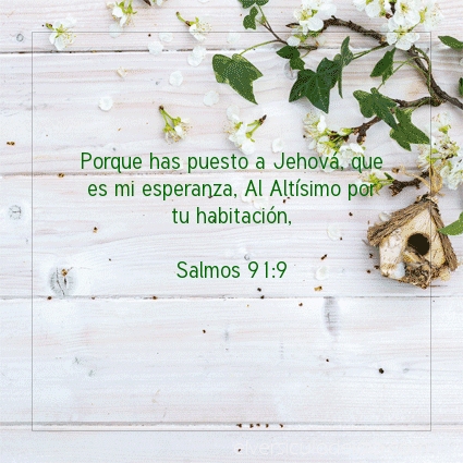 Imagen El versiculo del dia Salmos 91:9
