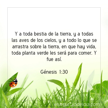 Imagen El versiculo del dia Génesis 1:30