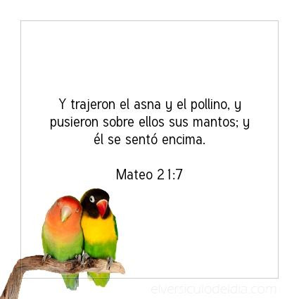 Imagen El versiculo del dia Mateo 21:7