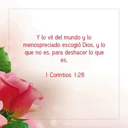 Imagen El versiculo del dia 1 Corintios 1:28
