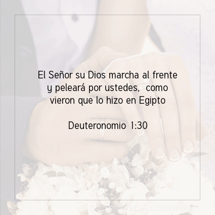 Imagen El versiculo del dia Deuteronomio 1:30