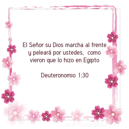 Imagen El versiculo del dia Deuteronomio 1:30