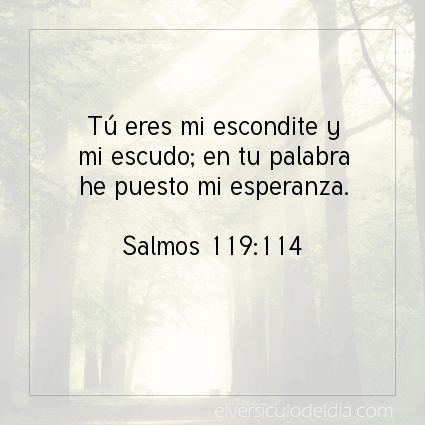 Imagen El versiculo del dia Salmos 119:114