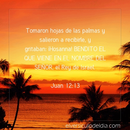 Imagen El versiculo del dia Juan 12:13