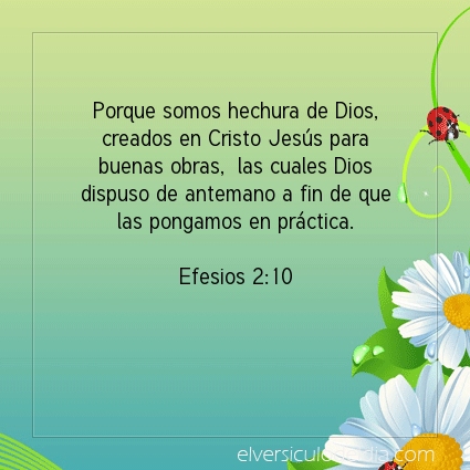 Imagen El versiculo del dia Efesios 2:10