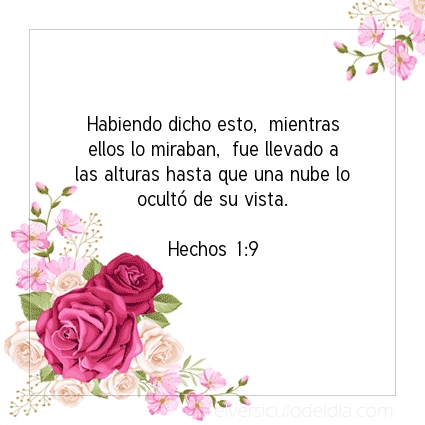 Imagen El versiculo del dia Hechos 1:9
