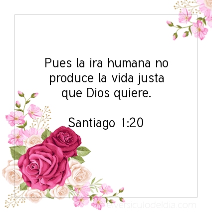 Imagen El versiculo del dia Santiago 1:20
